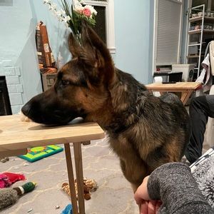 Meet your Posher, Wassily